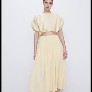 NWT Zara high waisted pleated maxi skirt